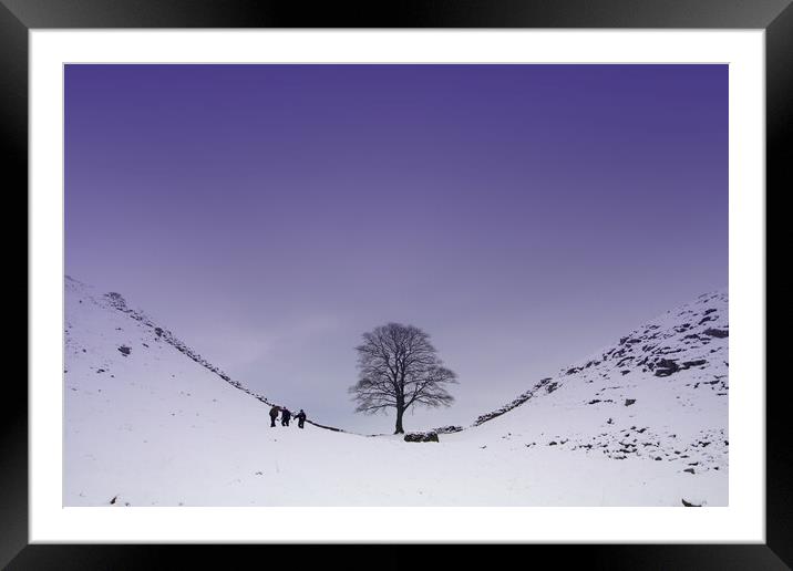 Sycamore Gap Framed Mounted Print by Gail Johnson