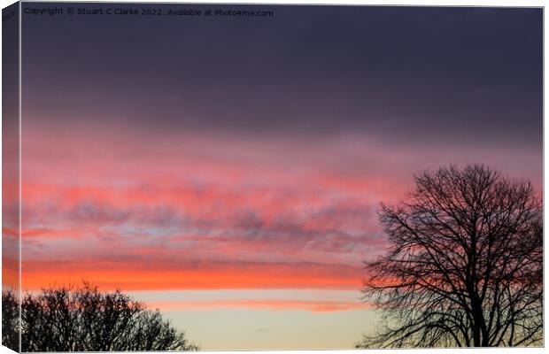 Winter sunrise Canvas Print by Stuart C Clarke