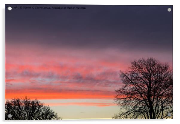 Winter sunrise Acrylic by Stuart C Clarke