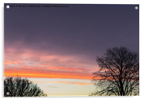 Winter sunrise Acrylic by Stuart C Clarke