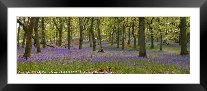Bluebell Woods  Framed Mounted Print by Lady Debra Bowers L.R.P.S