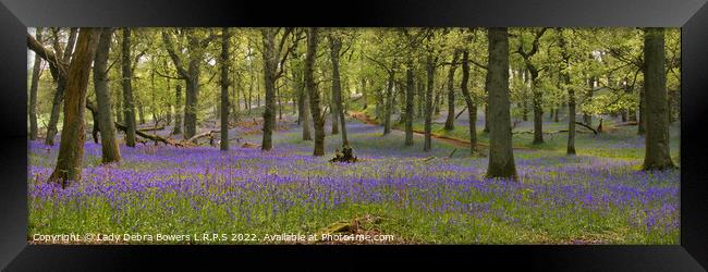 Bluebell Woods  Framed Print by Lady Debra Bowers L.R.P.S