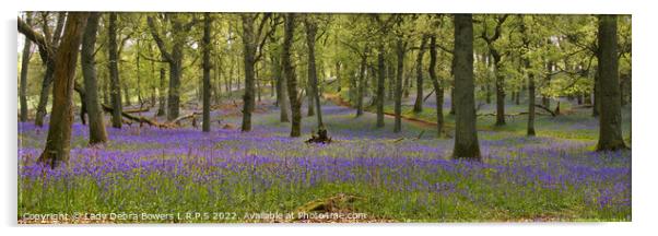 Bluebell Woods  Acrylic by Lady Debra Bowers L.R.P.S