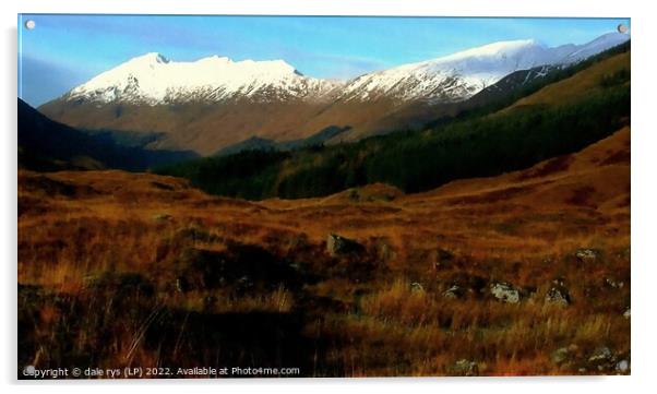 cluanie,highlands Acrylic by dale rys (LP)