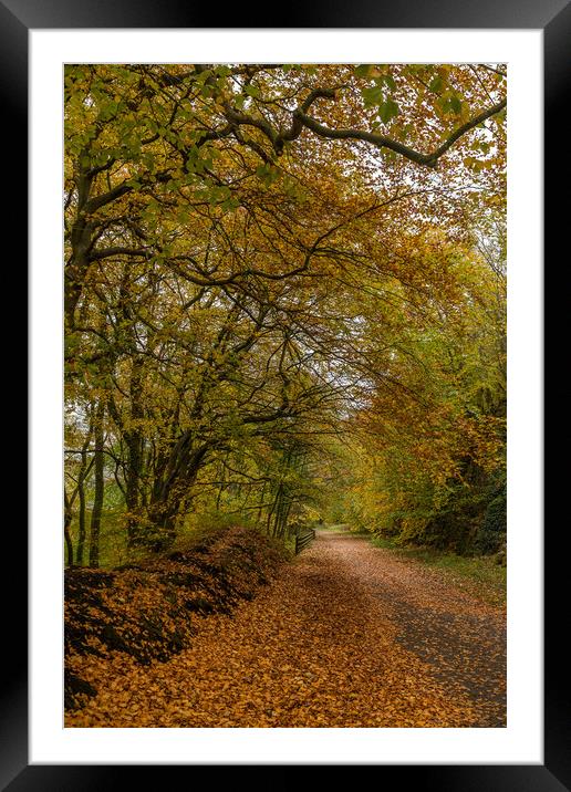 Autumn colours on the Monsal Trail Framed Mounted Print by Jason Wells