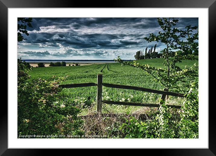 storm approching Framed Mounted Print by wayne gibbons