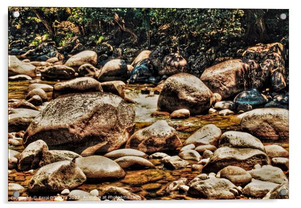 Rocky Mossman River in the Daintree Rainforest Acrylic by Errol D'Souza