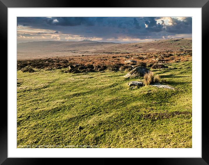 Wild Beauty of Dartmoor Framed Mounted Print by Roger Mechan