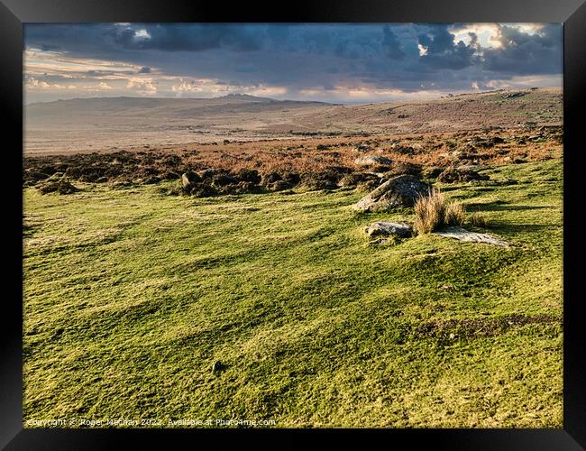 Wild Beauty of Dartmoor Framed Print by Roger Mechan