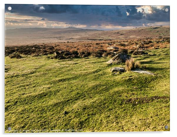 Wild Beauty of Dartmoor Acrylic by Roger Mechan