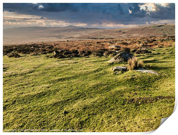 Wild Beauty of Dartmoor Print by Roger Mechan