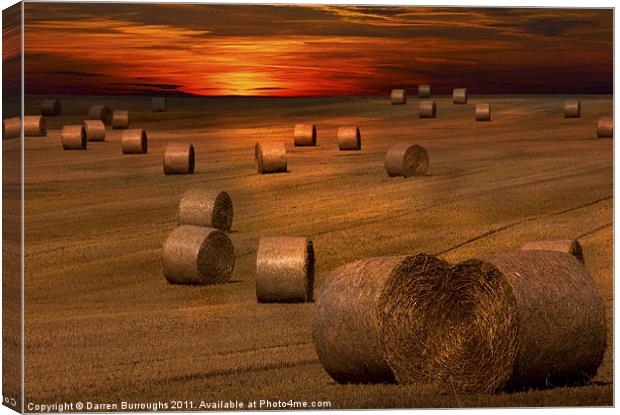 Harvest Sunset Canvas Print by Darren Burroughs