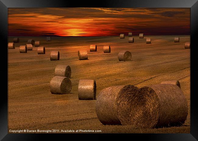 Harvest Sunset Framed Print by Darren Burroughs