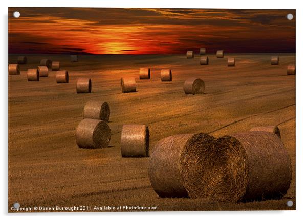 Harvest Sunset Acrylic by Darren Burroughs