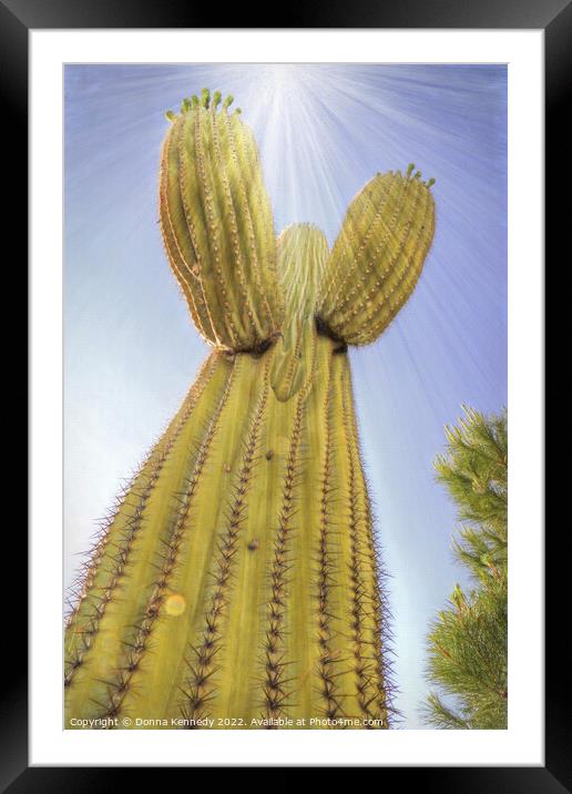 Saguaro Angel Framed Mounted Print by Donna Kennedy