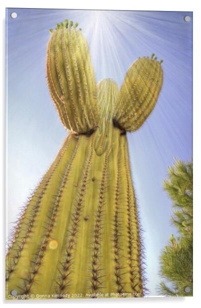 Saguaro Angel Acrylic by Donna Kennedy