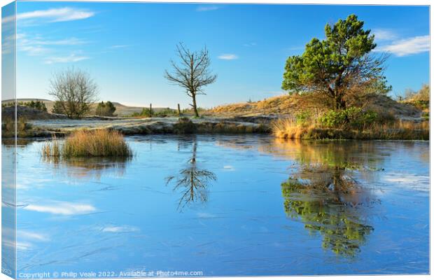 St James Forest Frost Kissed Reflection. Canvas Print by Philip Veale