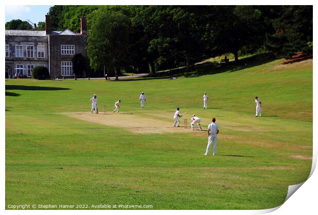 Cricket at Cockington Print by Stephen Hamer