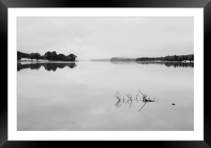 Reflection of branch in Coniston Water  Framed Mounted Print by Steve Heap