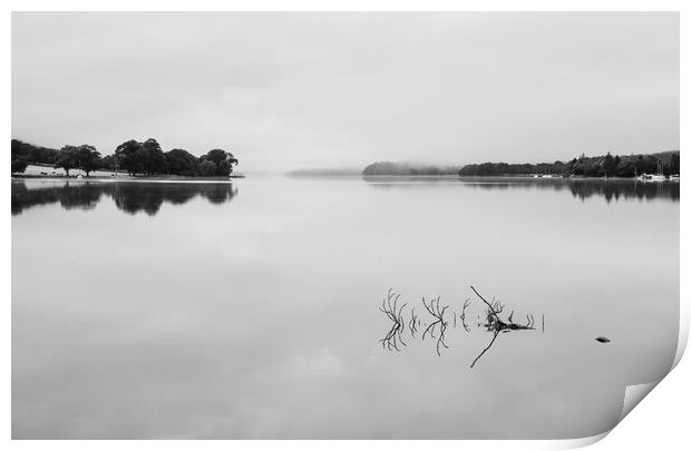 Reflection of branch in Coniston Water  Print by Steve Heap