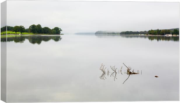 Reflection of branch in Coniston Water  Canvas Print by Steve Heap
