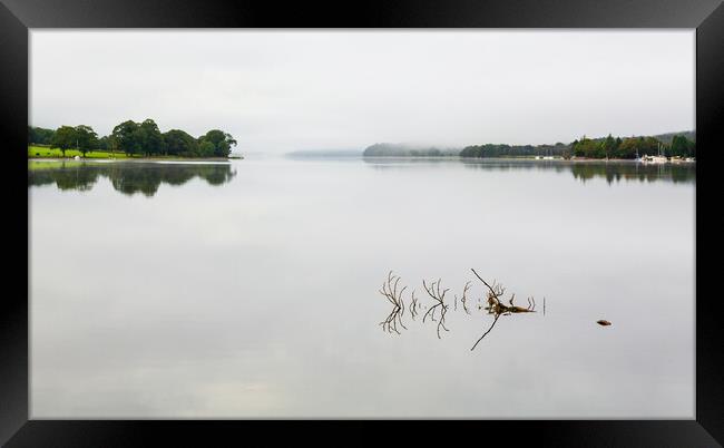 Reflection of branch in Coniston Water  Framed Print by Steve Heap