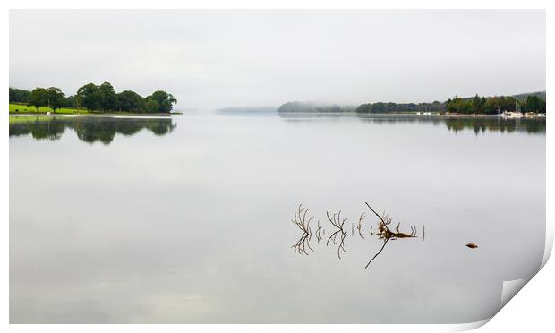 Reflection of branch in Coniston Water  Print by Steve Heap