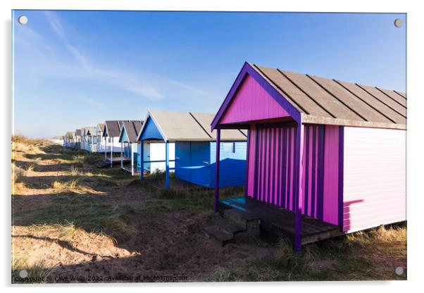 Lovely coloured beach hut  Acrylic by Clive Wells