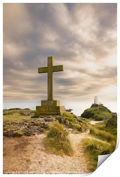 The Majestic Cross and Lighthouse Print by Terry Newman