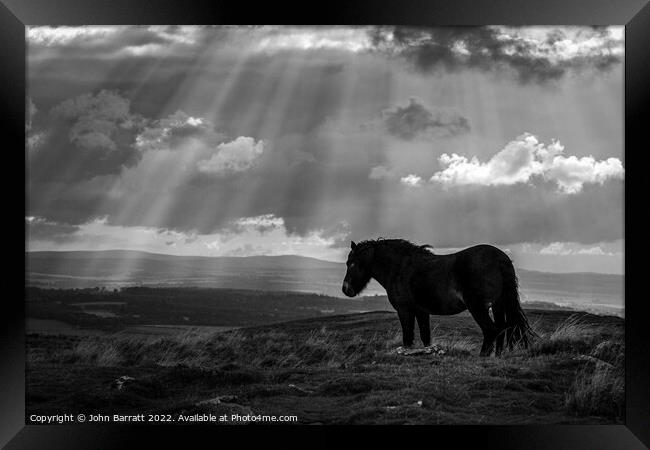 Exmoor Pony and Sunbeams Framed Print by John Barratt