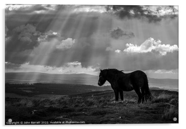 Exmoor Pony and Sunbeams Acrylic by John Barratt