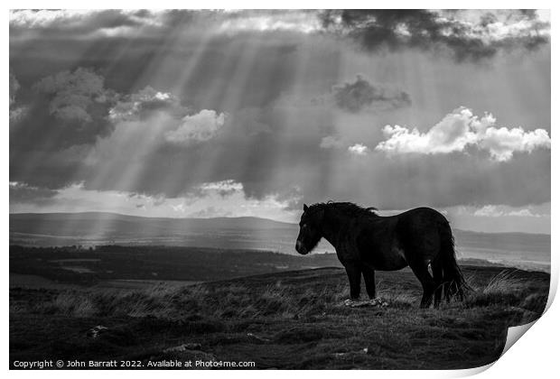 Exmoor Pony and Sunbeams Print by John Barratt
