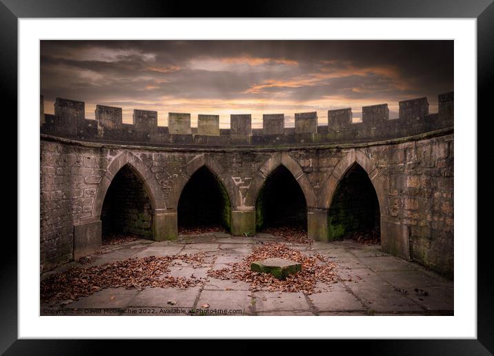Majestic ruins of Newstead Abbey Framed Mounted Print by David McGeachie