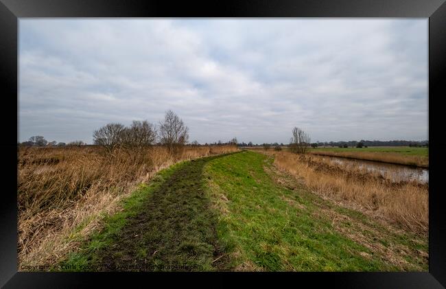 Footpath along the River Ant in Ludham, Norfolk Broads Framed Print by Chris Yaxley