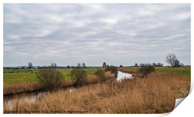 The path to St Benet's Abbey, Norfolk Print by Chris Yaxley
