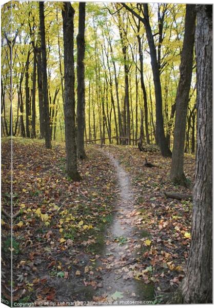 Trail through the woods Canvas Print by Philip Lehman
