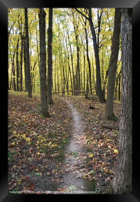 Trail through the woods Framed Print by Philip Lehman