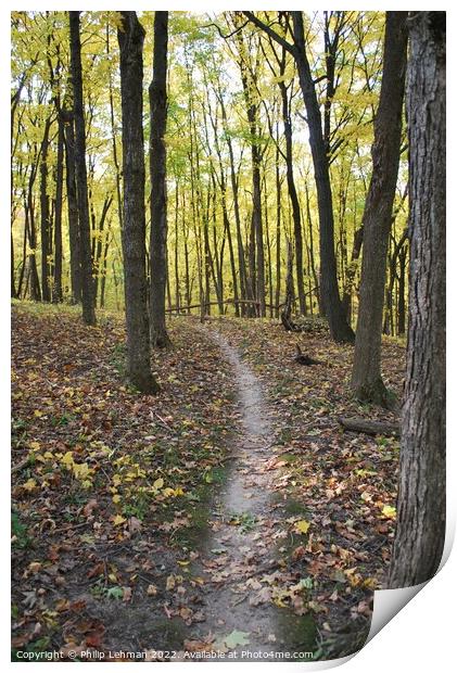 Trail through the woods Print by Philip Lehman