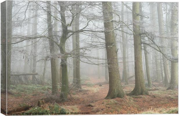 Misty Wood in the North York Moors Canvas Print by Martin Williams