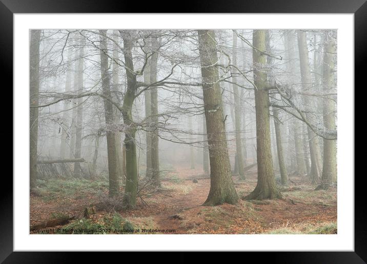 Misty Wood in the North York Moors Framed Mounted Print by Martin Williams