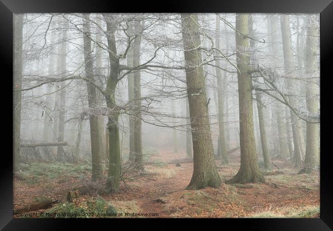 Misty Wood in the North York Moors Framed Print by Martin Williams