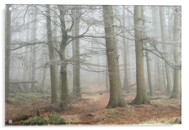 Misty Wood in the North York Moors Acrylic by Martin Williams