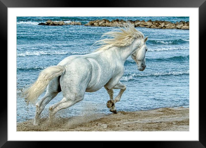 Freedom on the Beach Framed Mounted Print by Helkoryo Photography