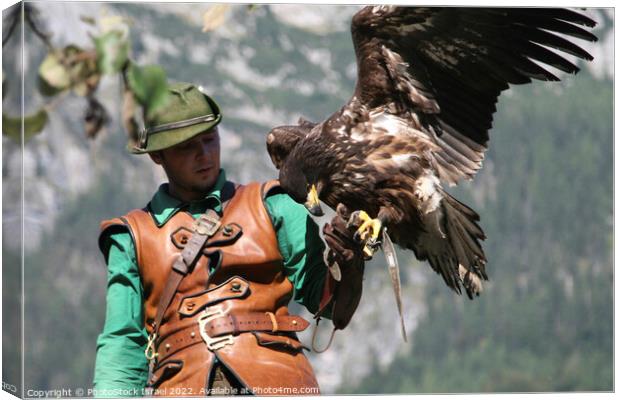 Austria falcon show Canvas Print by PhotoStock Israel