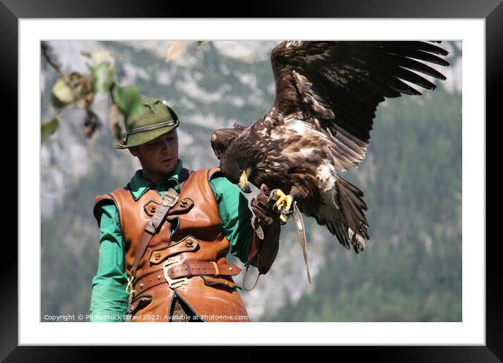 Austria falcon show Framed Mounted Print by PhotoStock Israel