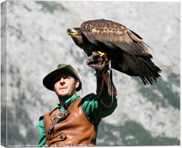 Austria falcon show Canvas Print by PhotoStock Israel