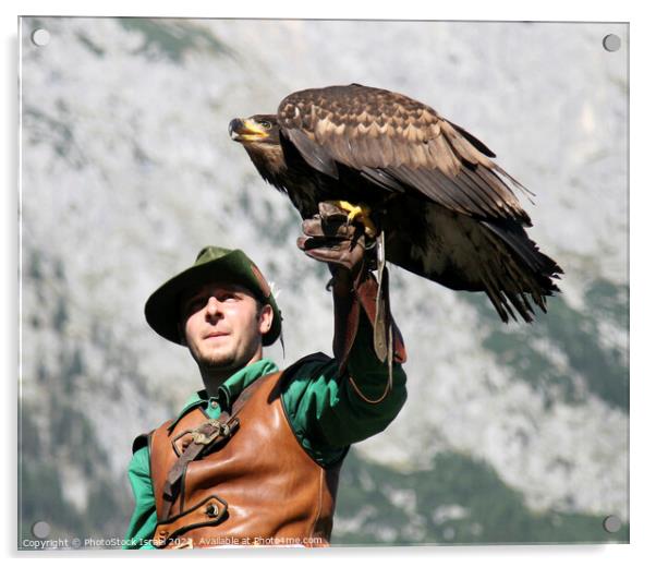 Austria falcon show Acrylic by PhotoStock Israel