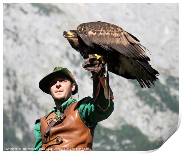 Austria falcon show Print by PhotoStock Israel