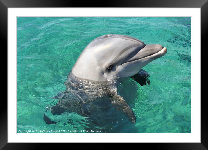 Eilat, Dolphin Reef Beach, Framed Mounted Print by PhotoStock Israel