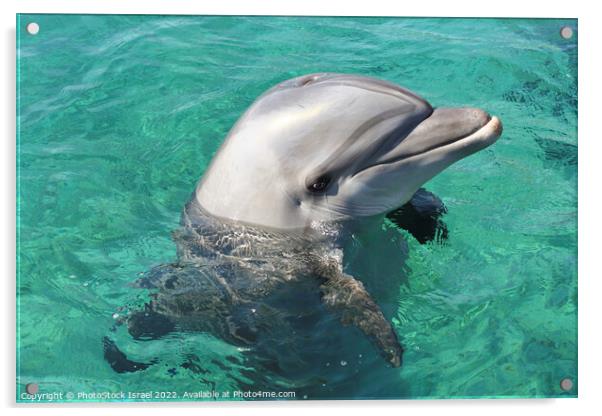 Eilat, Dolphin Reef Beach, Acrylic by PhotoStock Israel